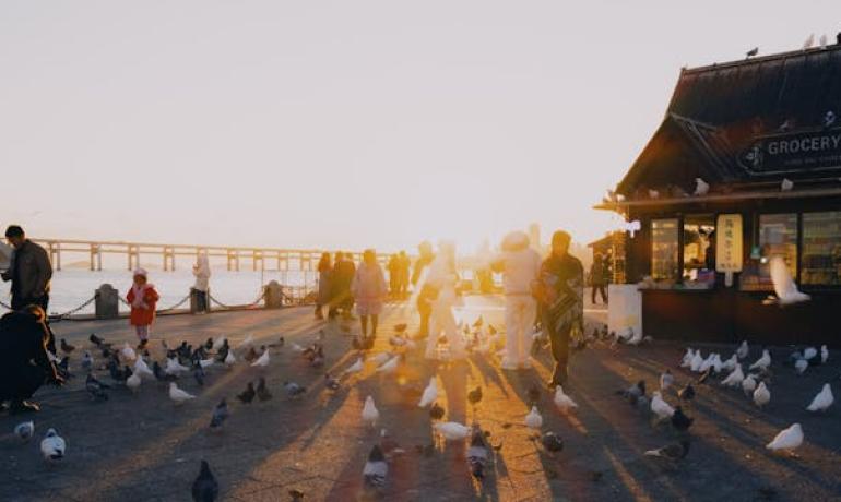 The World Caters to Average People